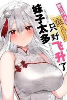 Mi Harem es tan Grande que Tuve que Ascender